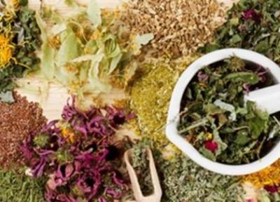 10 گام بلند برای استفاده از ظرفیت های ملی در حوزه گیاهان دارویی و طب سنتی