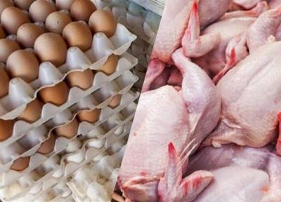 جدیدترین قیمت مرغ و تخم مرغ در میادین ، هر شانه 30 عددی و هر کیلو مرغ چند؟