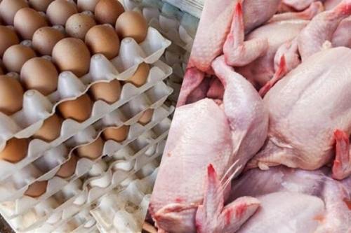 جدیدترین قیمت مرغ و تخم مرغ در میادین ، هر شانه 30 عددی و هر کیلو مرغ چند؟